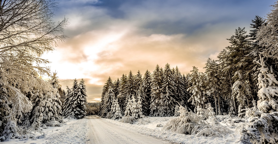 20 expresiones y frases sobre el invierno en inglés, francés, alemán y español