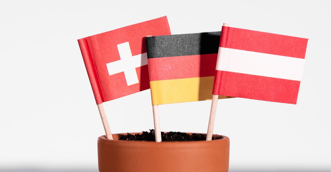 German from Germany, Austria and Switzerland: Key vocabulary differences