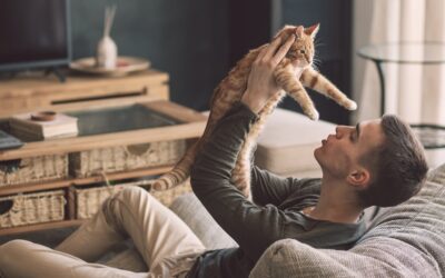 10 popular French cat names for male and female cats
