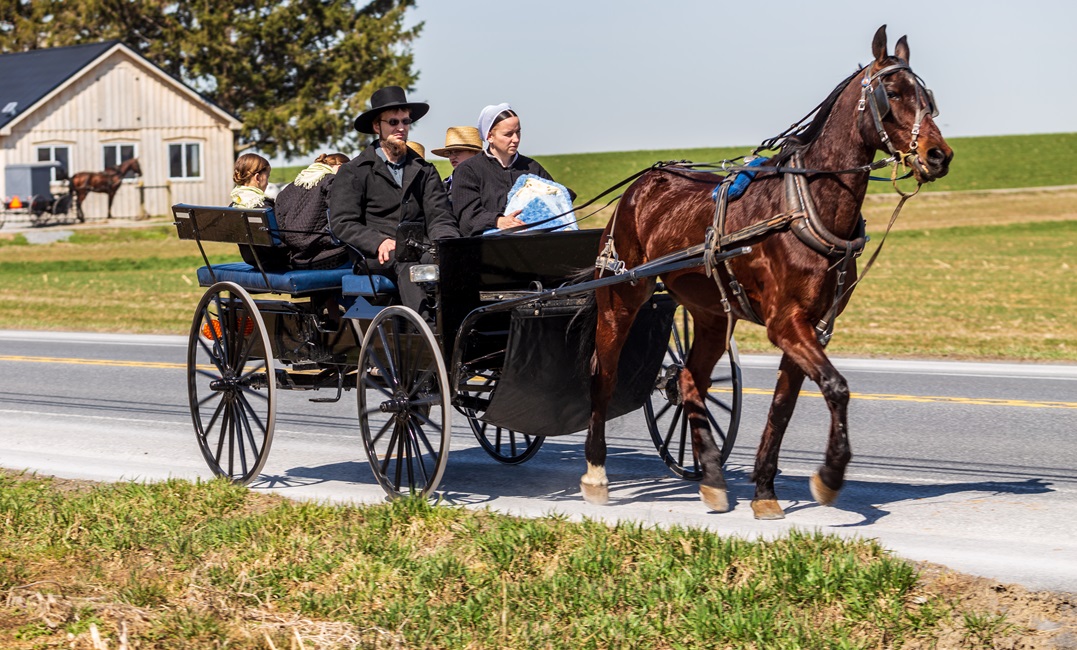 Do the Amish speak German? A guide to Pennsylvania Dutch